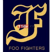 F2004(Foo Fighters) Navy & Gold F