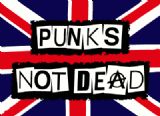 Exploited 乐队 Punks Not Dead 纹身贴纸 TT011