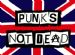 Exploited 乐队 Punks Not Dead 纹身贴纸 TT011