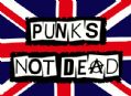 Exploited 乐队 Punks Not Dead 纹身贴纸 TT011