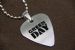2016款 钛钢拨片项链 绿日 GreenDay（银色） 
